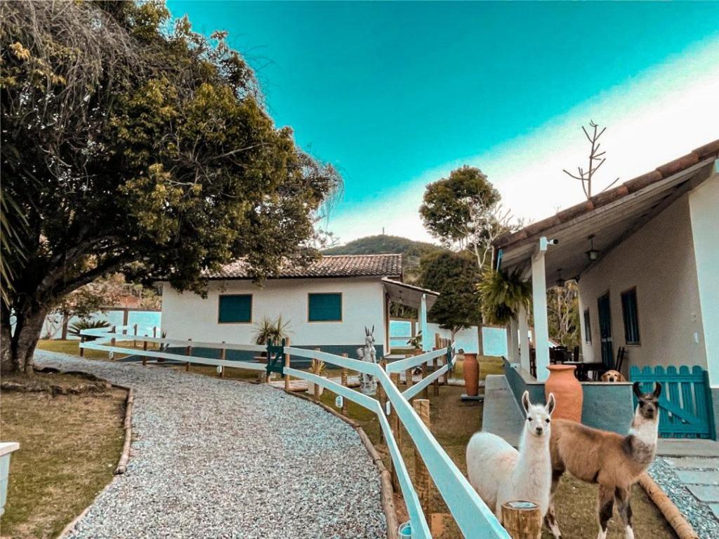 Fazenda Minha Glória Bom Jardim (Rio de Janeiro)